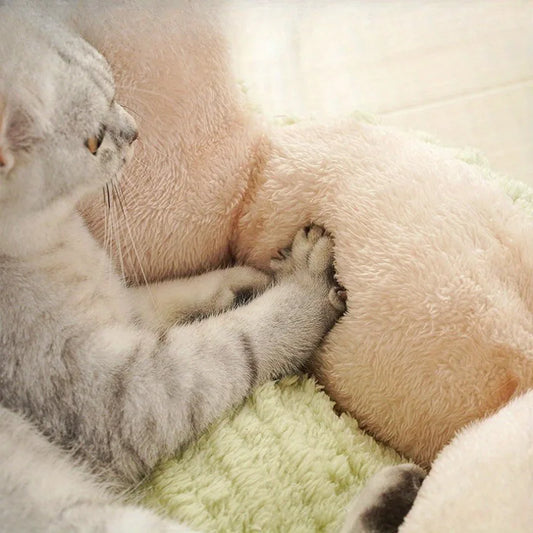Sweet Home plush toy for cats and dogs