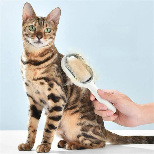 Cat cleaning brush