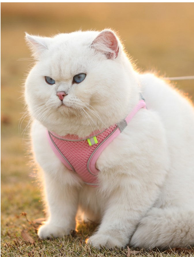 Harness for dogs and cats