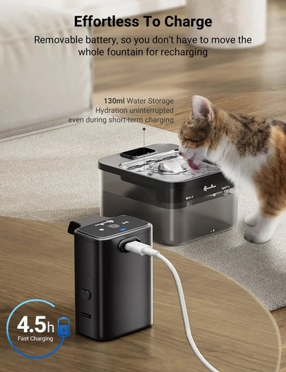 Fonte de água com dispensador automático