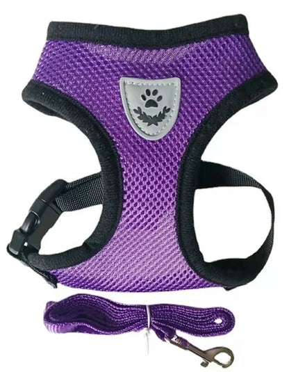 Adjustable chest collar for cats and puppies.