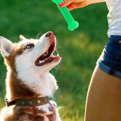Dog Chew Toys