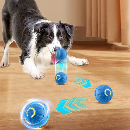 Bola de brinquedo para PET