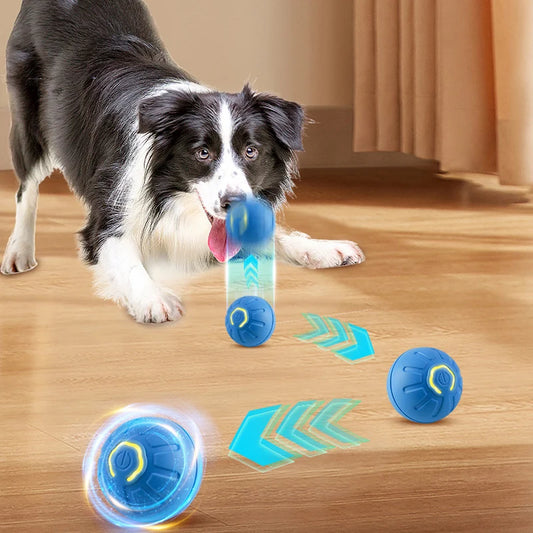 Toy ball for PET