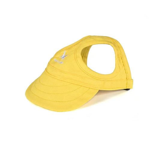 Hat for dogs and cats