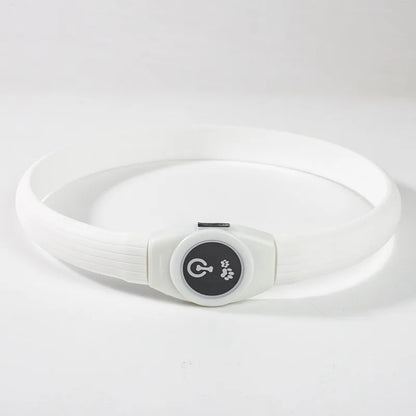 Coleira luminosa LED para cães PVC
