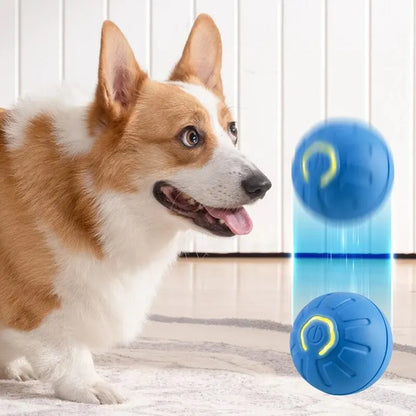Bola de brinquedo para PET