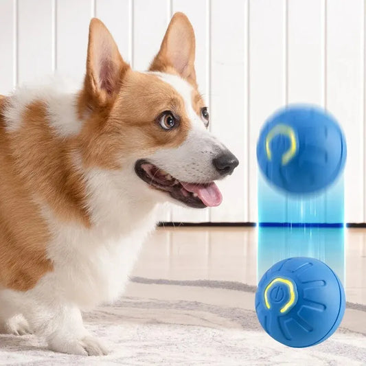 Toy ball for PET
