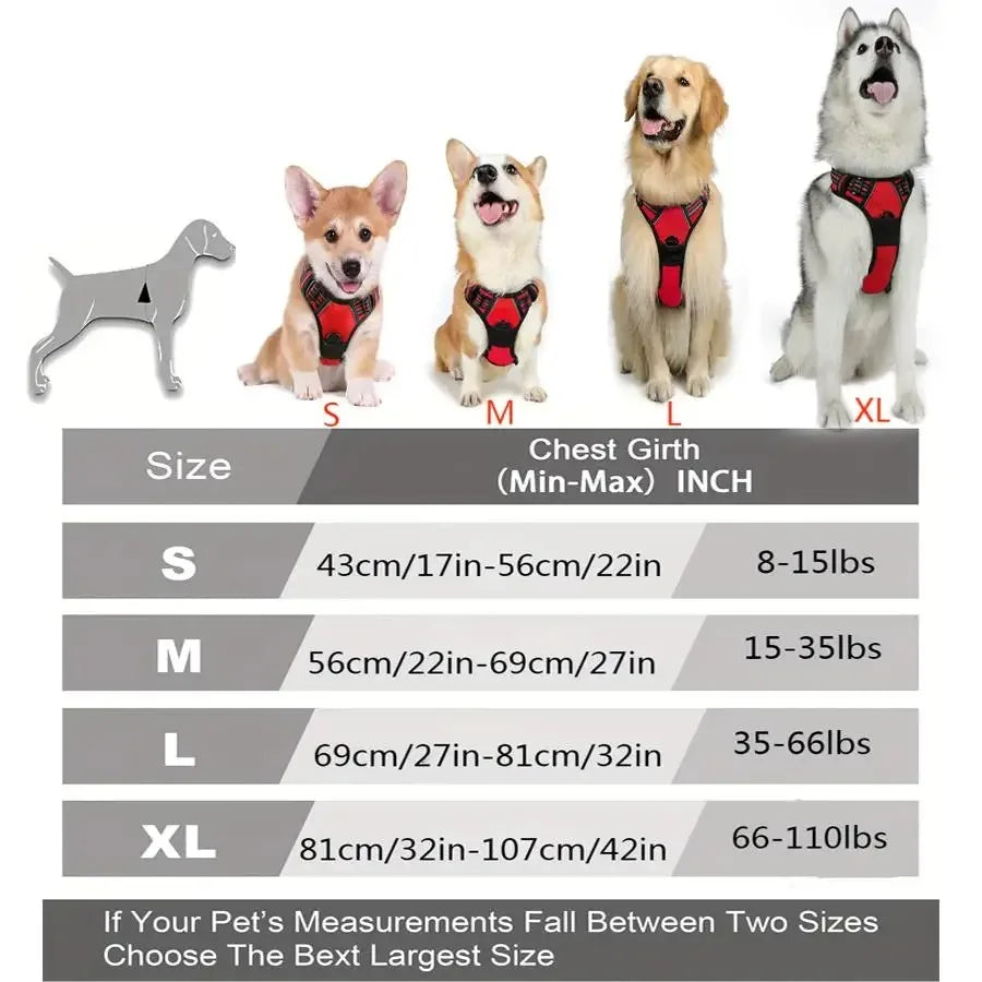 Harnais anti-traction pour chien avec réflecteur