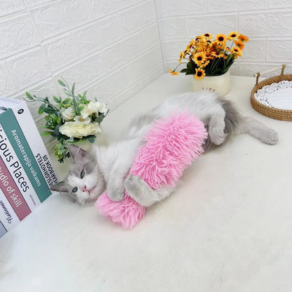 Jouet en peluche à plumes pour chats