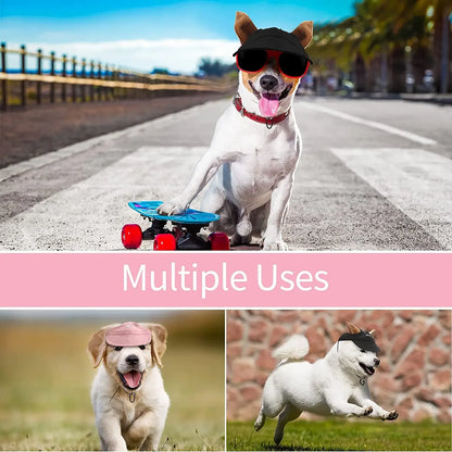 Boné para cães e gatos