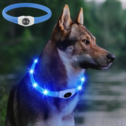 Coleira luminosa LED para cães PVC