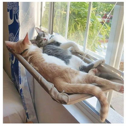 Rede suspensa para gatos