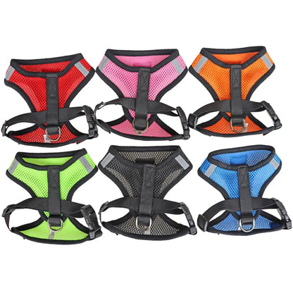 Adjustable chest collar for cats and puppies.