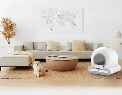 Caixa de areia automática para gatos DOEL com autolimpeza 65L com App Control