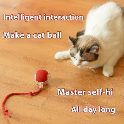Balle de stimulation automatique