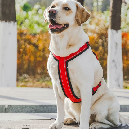 Harness Vermelho - Versão Melhorada