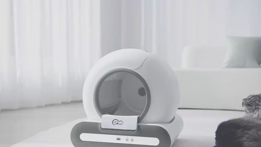 Caixa de areia automática para gatos DOEL com autolimpeza 65L com App Control